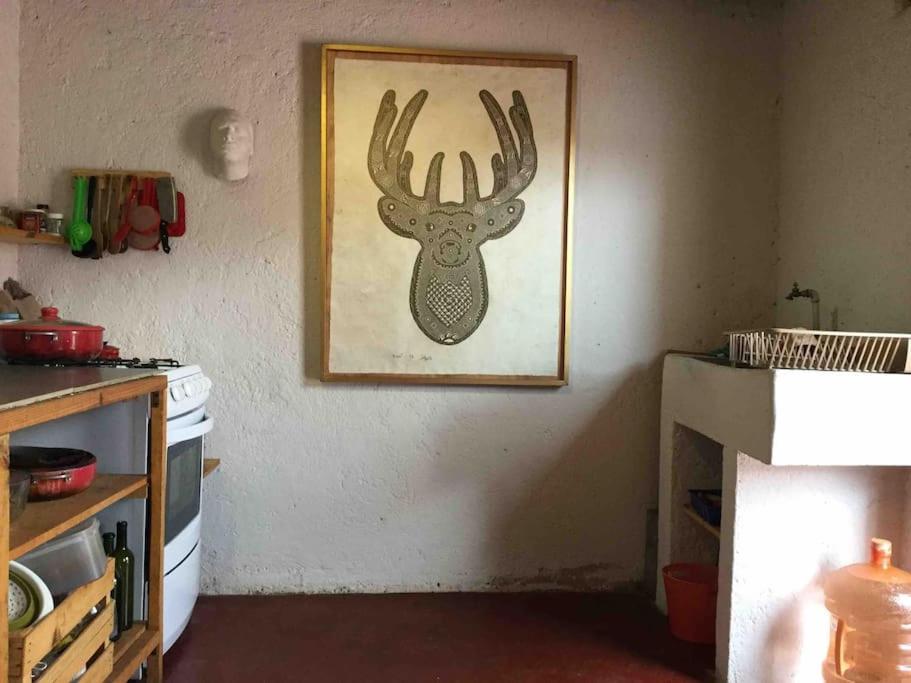Casa Cerrillo Appartamento San Cristóbal de Las Casas Esterno foto